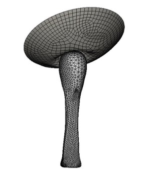 Simulation Analysis of Anterior Cruciate Ligament (Figure 2)