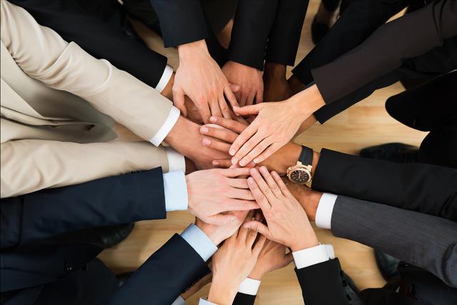 Company team