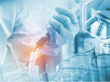 Biomedical finite element applications