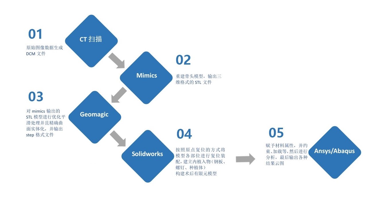 Biomedical Finite Element Simulation Process