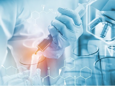 Application of Biomedical Finite Element Method