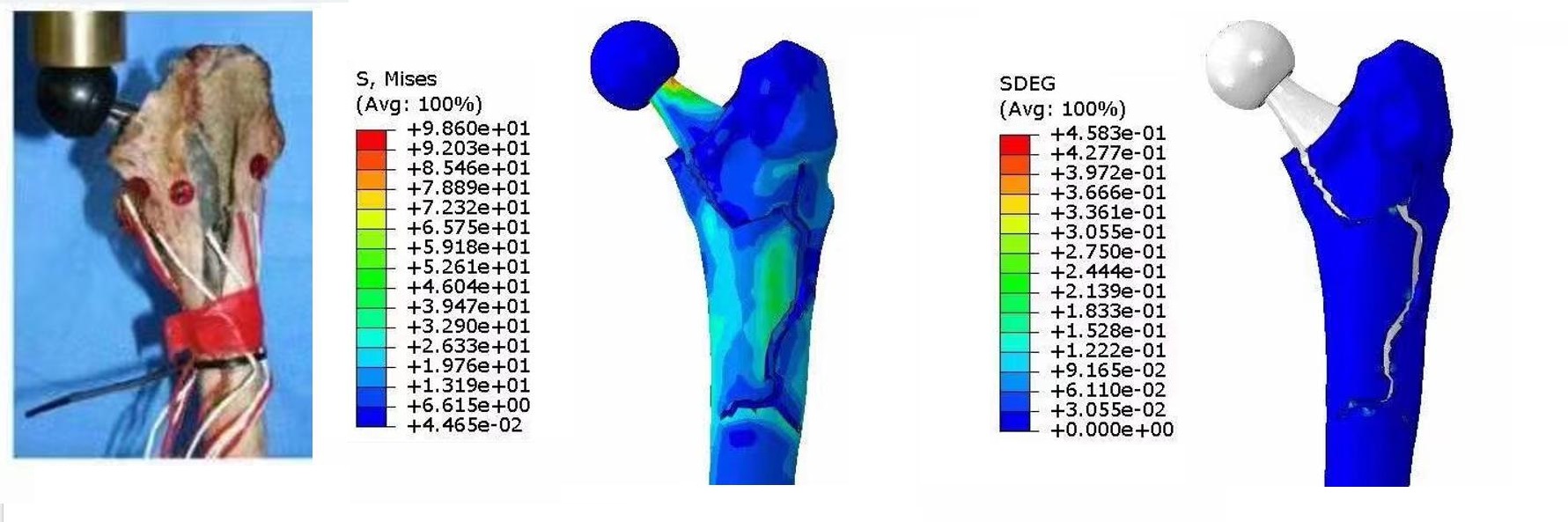 Biomedical Treatment (Figure 9)