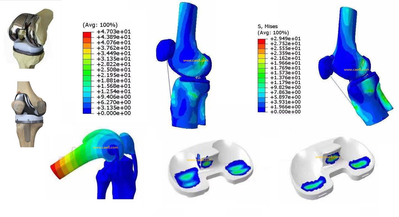 Biomedical Treatment (Figure 6)